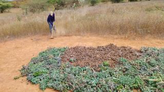 Nova Lei do Combustível do Futuro abre oportunidades para Agricultura Familiar da Bahia