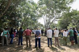 Comitê da Reserva da Biosfera da Mata Atlântica alinha preparativos para o Fórum da Juventude na Bahia