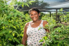 Dia Mundial da Alimentação: agricultura familiar garante comida na mesa dos brasileiros