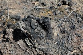 Iraquara é a primeira cidade da Chapada Diamantina a receber a Blitz/Ronda Verde do Programa Bahia sem Fogo