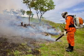 Flagrante de incêndio florestal em Érico Cardoso intensifica operação Blitz Verde na Chapada Diamantina
