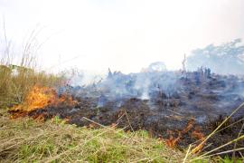 Flagrante de incêndio florestal em Érico Cardoso intensifica operação Blitz Verde na Chapada Diamantina