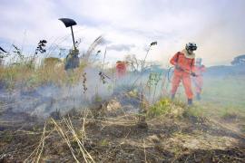 Flagrante de incêndio florestal em Érico Cardoso intensifica operação Blitz Verde na Chapada Diamantina