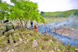 Flagrante de incêndio florestal em Érico Cardoso intensifica operação Blitz Verde na Chapada Diamantina