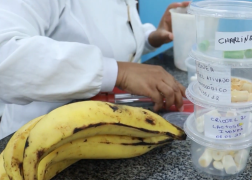 App de amamentação, lectina, branqueamento de corais e contaminação marinha estarão no Univerciência