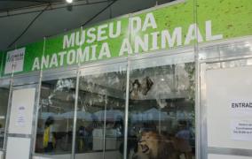 6b32f393-71cd-4957-a149-730a96ea4463