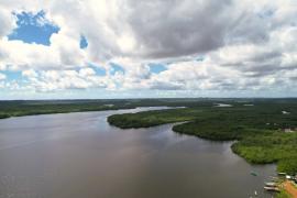 Parceria França-Bahia reforça gestão de conservação ambiental e desenvolvimento sustentável