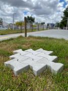 Estudantes de Serrinha usam papel descartado e fibra do coco para desenvolver biocimento