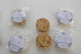 Estudantes desenvolvem sabonete cicatrizante para animais a partir de babosa, mel e açafrão