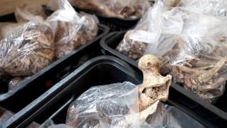 Descoberta arqueológica em Santiago do Iguape revela história milenar do Recôncavo Baiano