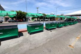 Educação em Chorrochó ganha destaque com nova escola e ações de apoio ao ensino