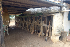 Força-tarefa do Inema, PRF e Polícia Ambiental da Bahia, resgatou 965 animais silvestres na Chapada Diamantina