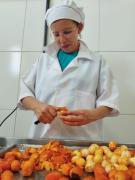 Agricultores que trabalham com o buriti fortalecem produção e desenvolvem produtos