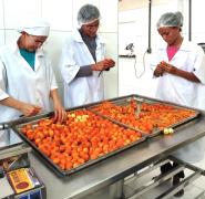 Agricultores que trabalham com o buriti fortalecem produção e desenvolvem produtos