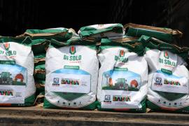 SDR lança três novos editais para fortalecer agricultura familiar e promover a sustentabilidade na Bahia