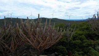 Governo da Bahia e Pnud lançam edital para requalificação dos Planos Territoriais de Desenvolvimento Sustentável