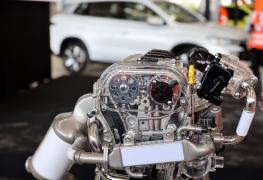 Fotos-Thuane-MariaGOVBA-2