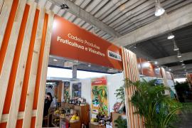 Fotos: Wuiga Rubini:GOVBAApp Image 2024-12-01 at 16.39.12