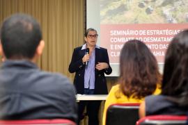 Seminário de Desmatamento Ilegal (25)