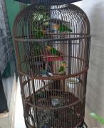 TimePhoto_20241205_062713-e1733520178980