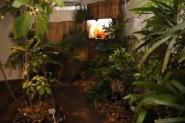 edb52575-b3f6-4771-86e6-6b900e49b91e