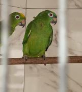 thumbnail_TimePhoto_20241205_092943-e1733520153472