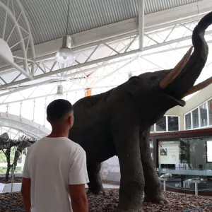 Foto: Rafaela Sena/Ascom SDE