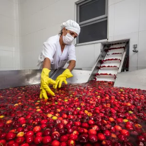 Foto: André Frutuoso/Ascom CAR