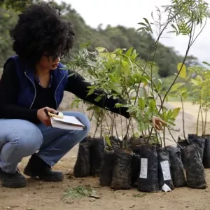 Projeto socioambiental da Embasa apoia na recuperação dezenas de áreas degradadas e de nascentes em 2024
