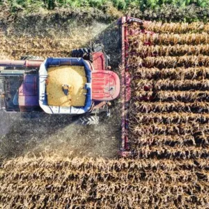 Agronegócio representou 23,5% do PIB da Bahia até o terceiro trimestre de 2024