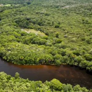 Bahia lidera conservação ambiental com novas RPPNs na Mata Atlântica, Cerrado e Caatinga