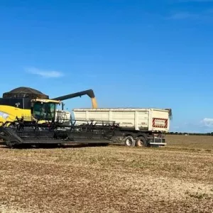 Comitiva da SDE apresenta oportunidades de investimentos para indústrias do Oeste