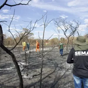 Faltam apenas 50 vagas para a 4ª Conferência Estadual do Meio Ambiente: programação destaca desafios climáticos