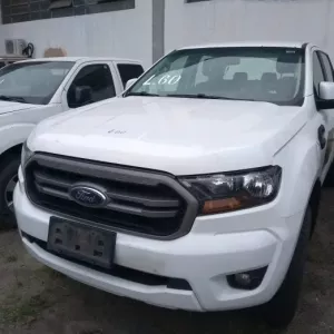 Leilão do Estado abre período para visitação de bens na próxima segunda-feira (3)