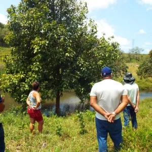 Prêmio Bahia Sustentável 2024 destaca soluções ambientais que preservam o futuro