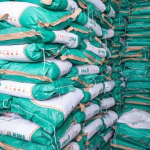 Serrinha recebe 7,5 toneladas de sementes e mutirão de documentação