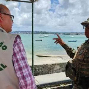Inema investiga descarte irregular de arraias na Marina do Bonfim