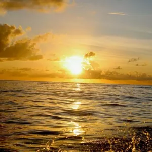 Foto: Matheus Lemos/Inema