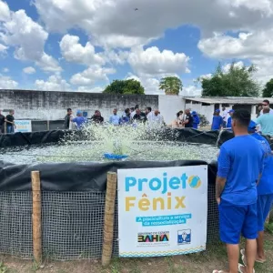 Projeto Fênix produz uma tonelada de tilápias em presídio de Feira de Santana - Foto: Vinícius Monteiro/Bahia Pesca