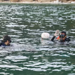 Peixe-leão é encontrado e capturado por especialistas na costa da Bahia - Foto: Matheus Lemos - Ascom/Sema