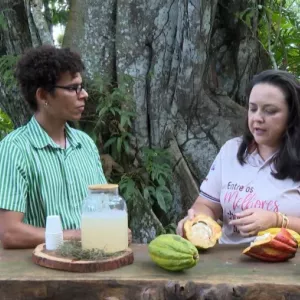 Chocolate, Circo Picolino e Exposição Dona Fulô e outras Joias Negras estarão Bem Bahia da TVE