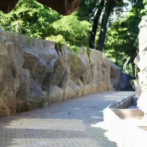 Obras de requalificação do Zoológico serão intensificadas após o Carnaval