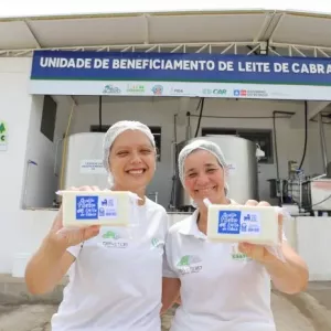 Feira de Santana recebe MOVE, o maior encontro de agroindústrias familiares da Bahia