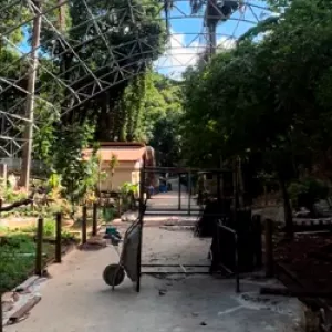 Zoológico de Salvador acelera reformas e se prepara para reabertura em maio