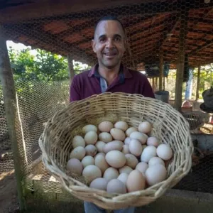 Cesta Básica de Salvador apresenta alta de 0,30% em fevereiro
