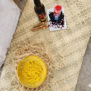 MAM, MAC_Bahia e MAB oferecem programação gratuita e diversificada para todos os públicos nesta semana