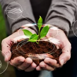 Sema oferece mais de 2 mil vagas em cursos gratuitos de gestão ambiental