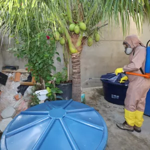 Combate à dengue Bahia