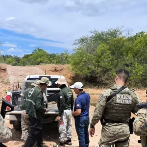 Torneio ilegal de caça de animais silvestres é desarticulado em Curaçá, Norte da Bahia