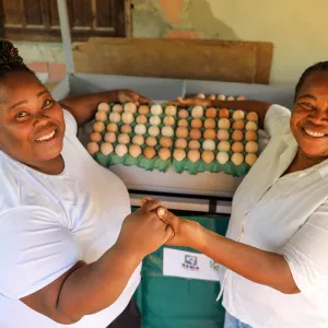 Produção de ovos atinge recorde na Bahia com apoio à agricultura familiar